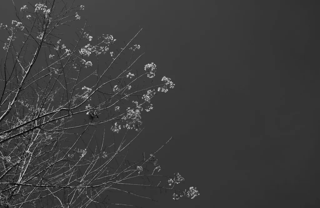 Photo small changes