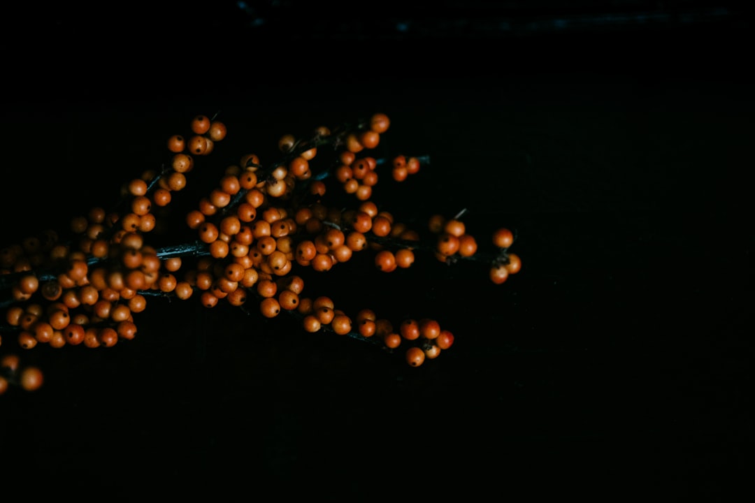 Photo clean interior