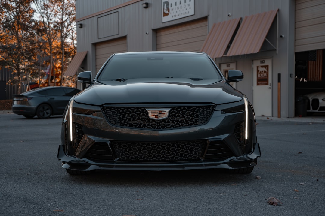 Photo protect car paint