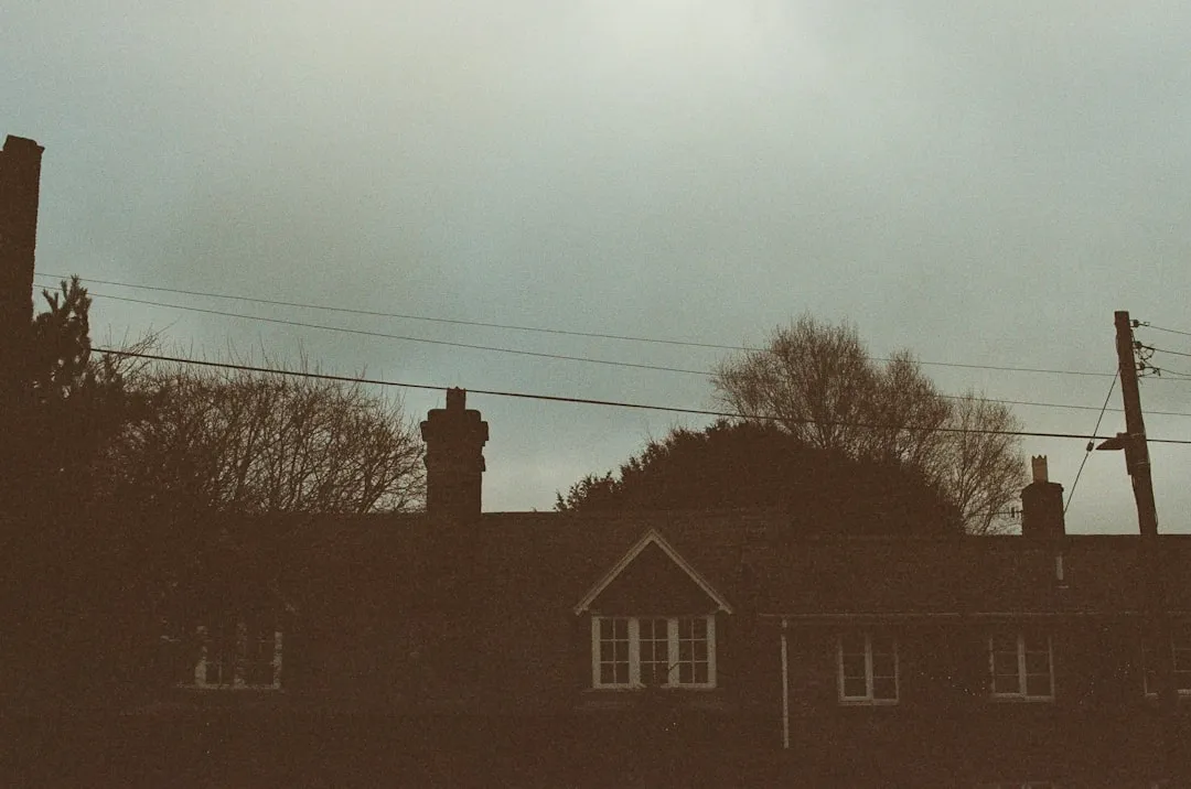 Photo vintage elements