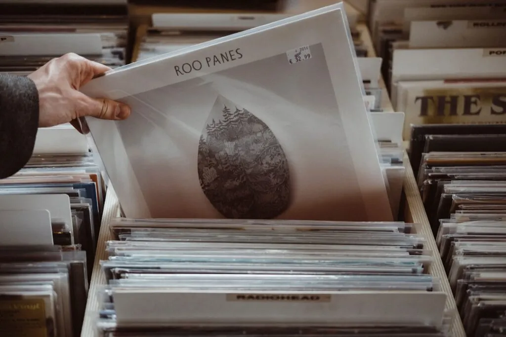 Photo vinyl records collecting