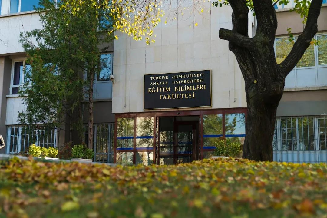 Photo antichități