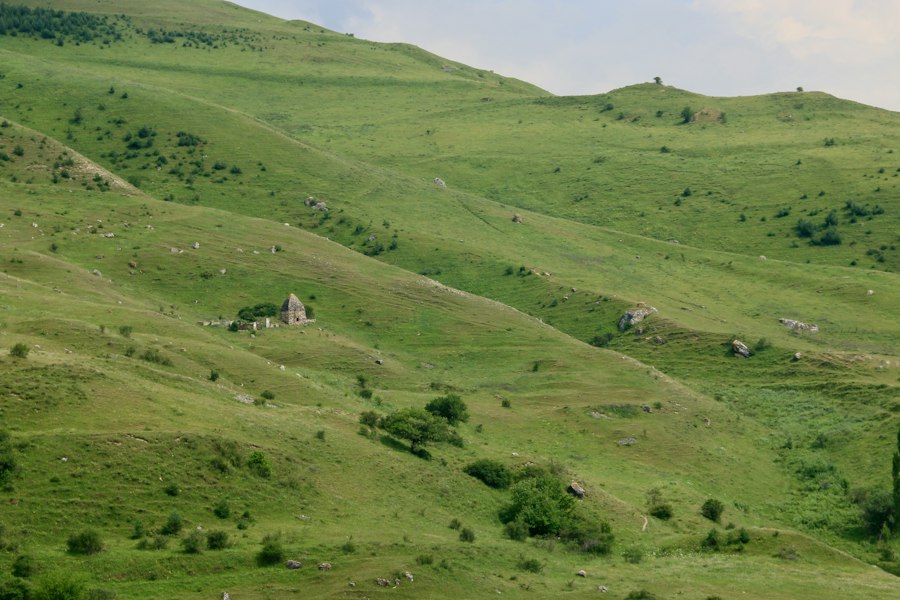 Photo porumbanului