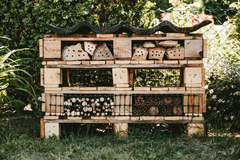Photo upcycling