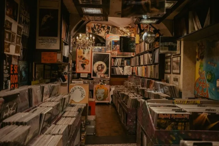 Photo vinyl records collection guide