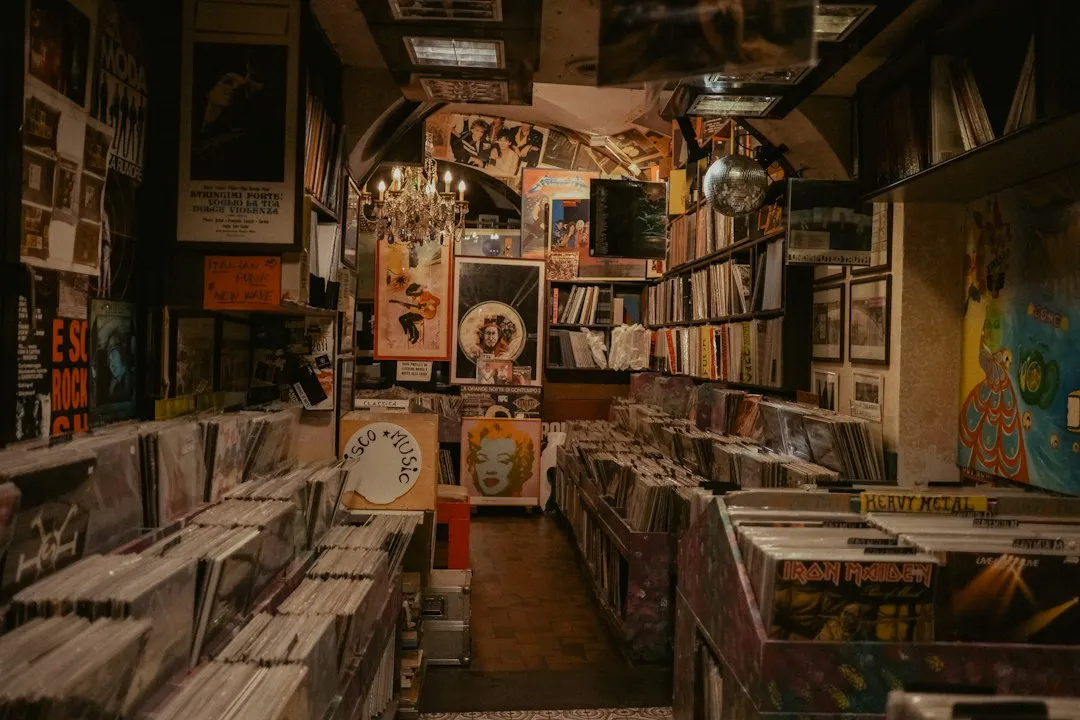 Photo vinyl records collection guide